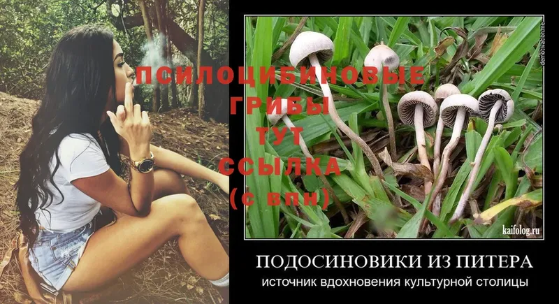 Псилоцибиновые грибы Cubensis  наркошоп  Егорьевск 